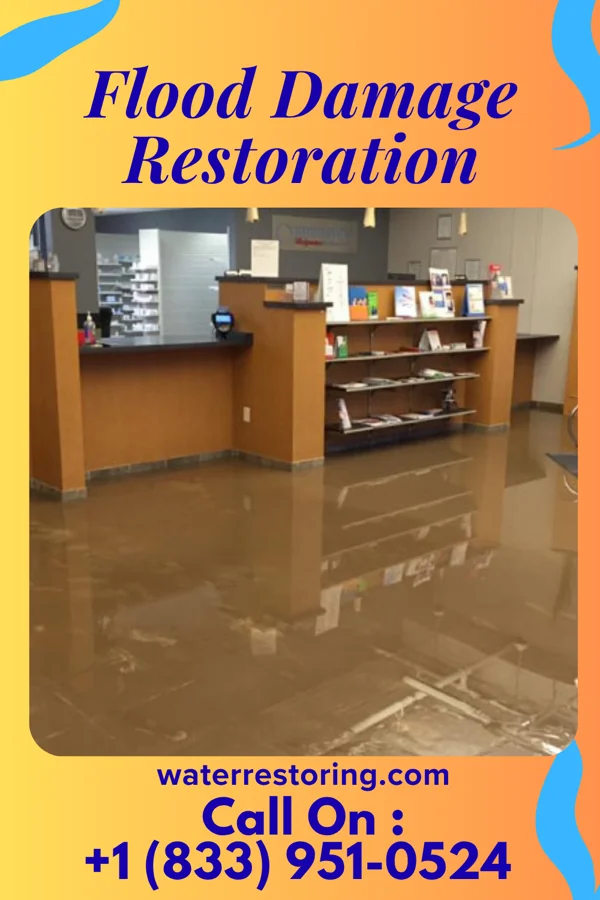 Flood Damage Restoration in Rockville, MD