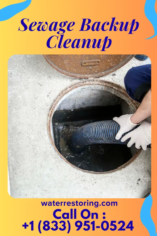 Sewage Backup Cleanup in Rockville, MD