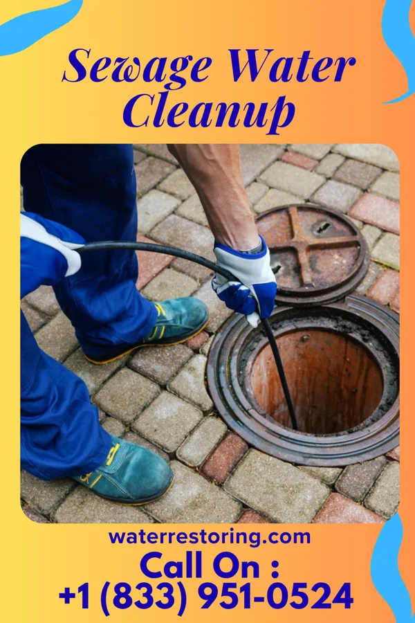 Sewage Water Cleanup in Rockville, MD